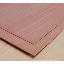 colourful walnut /teak/ash /red oak melamine paper faced coloured plywood